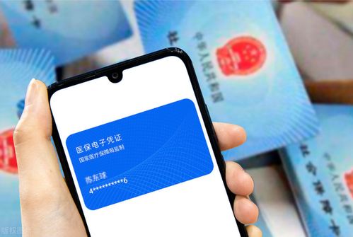 德馨24小时医保套取实操指南：老司机分享高效安全操作流程